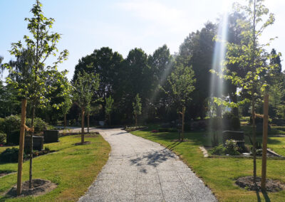 Friedhof Werste Allee der Hoffnung – neu